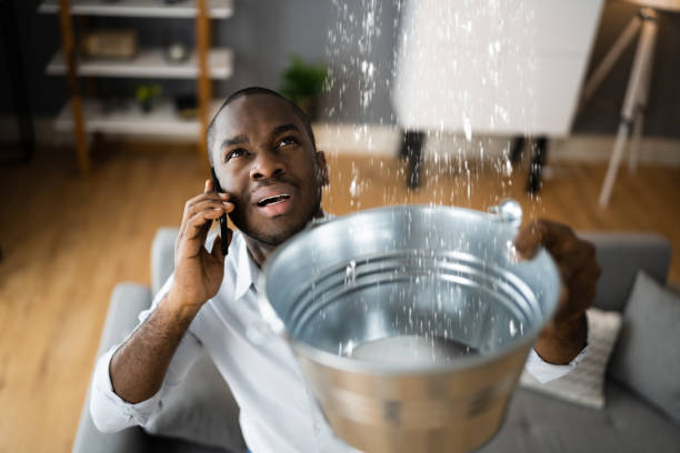 Best Water damage restoration mold remediation  in Redwood Valley, CA