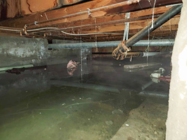 Best Flooded house restoration  in Redwood Valley, CA