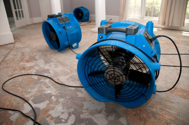 Best Water damage restoration near me  in Redwood Valley, CA