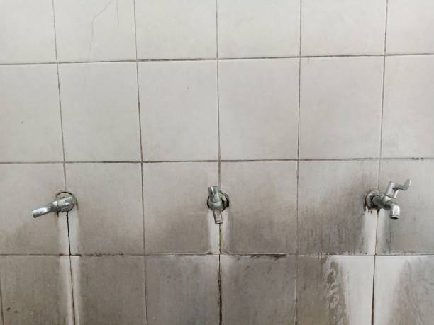 Best Ceiling water damage repair  in Redwood Valley, CA