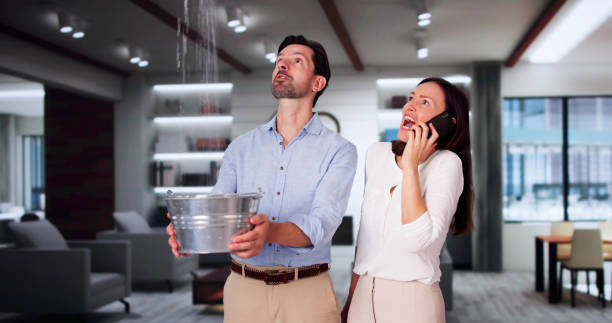 Best Basement water damage restoration  in Redwood Valley, CA